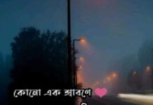 কোনো_এক_শ্রাবণে উপসংহার