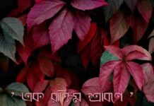 এক_রক্তিম_শ্রাবণে❤️পর্ব-৪৩(অন্তিমপাতা)