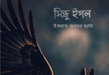 সিন্ধু ইগল – (৩০)