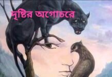 দৃষ্টির_অগোচরে_সে পর্ব_২৬