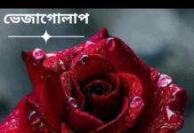 ভেজাগোলাপ❤️পর্ব-২০শেষ পর্ব