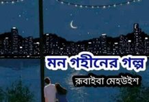 মন গহীনের গল্প শেষ পর্ব