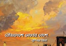 রৌদ্রদেশে মেঘের বেশে’ পর্ব-৪৮শেষ পর্ব