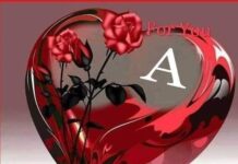 স্বপ্নের প্রেয়সী 💖 পর্ব- ৪৭ শেষ পর্ব