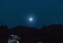 তুই হবি আমার😎পর্ব-২৬শেষ_পর্ব