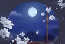 ফেরা পর্ব-২৬শেষ পর্ব