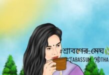 শ্রাবণের মেঘ শেষ পর্ব(২৮)