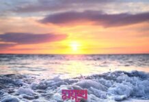 ময়ূখ পর্ব-৩২ শেষ পর্ব