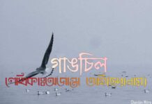 গাঙচিল পর্ব_০৯