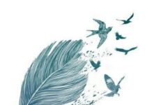 গাংচিল পর্ব-২২ শেষ পর্ব