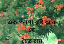 এক পশলা বৃষ্টি আর সে পর্ব-২৯(শেষপর্ব)