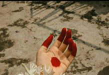 শিউলিবেলা পর্বঃ১১