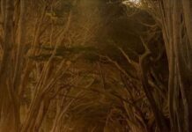 মেঘের পরে রংধনু পর্ব-৩৯ শেষ পর্ব