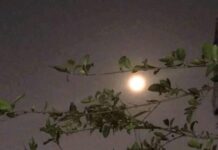 সেদিনও জ্যোৎস্না ছিল পর্ব-৩০ শেষ পর্ব