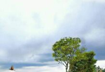 রংধনুর স্নিগ্ধতা পর্ব-৪০