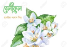 বেলীফুল পর্ব-৩৮ শেষ পর্ব