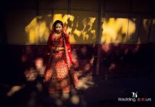 আলোছায়া পর্ব-২৬