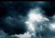 তোমার ছায়া পর্ব-২২