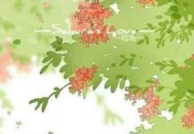 সিক্ত সুভানুভব’ পর্ব-৩৫ শেষ পর্ব