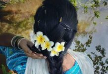 সত্য পিঞ্জর পর্ব-২২ শেষ পর্ব