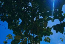 বকুলতলা পর্ব-৯.