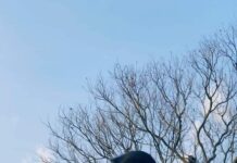 পার্থক্য পর্ব-১২