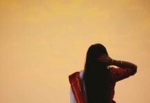 সাপলুডুর সমাপ্তিতে- পর্ব-১১