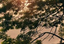 আমার_শহরে_তোমার_আমন্ত্রণ #পর্ব২৩( বোনাস পার্ট+অন্তিম পর্ব) #Raiha_Zubair_Ripti