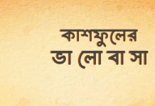 কাশফুলের_ভালোবাসা #পর্বঃ১৭ #লেখিকাঃঅনন্যা_অসমি
