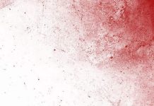 উনত্রিশ_ফেব্রুয়ারি #পর্বঃ ০৮ (শেষ পর্ব)