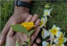 কাঠগোলাপের সাদার মায়ায় #শেষ পর্ব